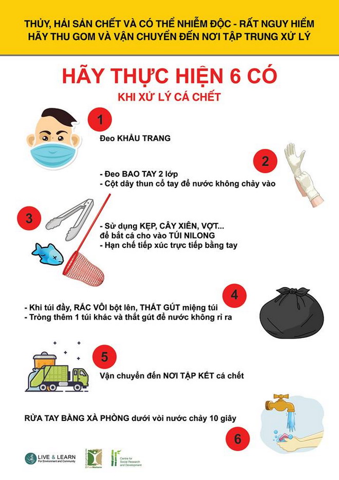 xử lý cá chết miền Trung