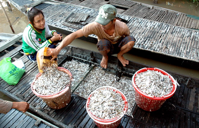 lũ miền tây