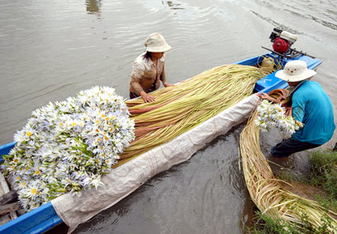lũ miền tây