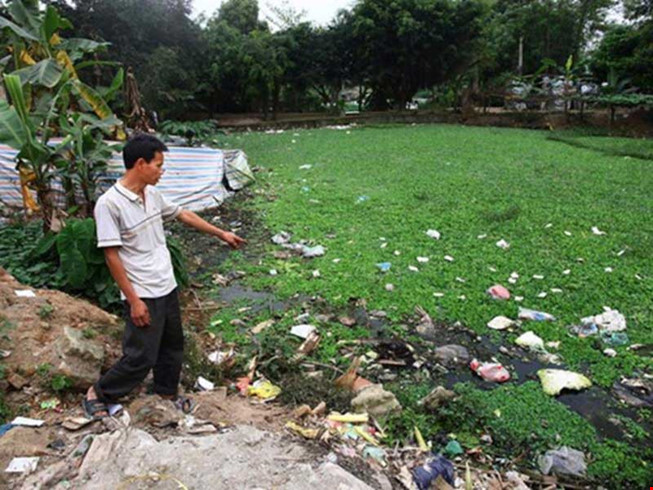 sự kiện môi trường 2016