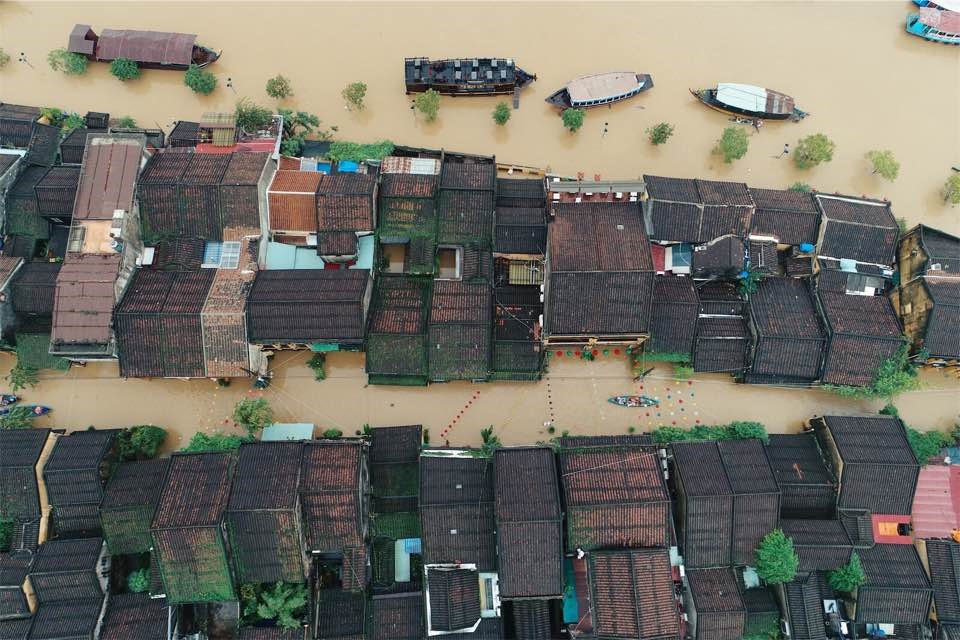 Hoi An chim trong bien nuoc hinh anh 1