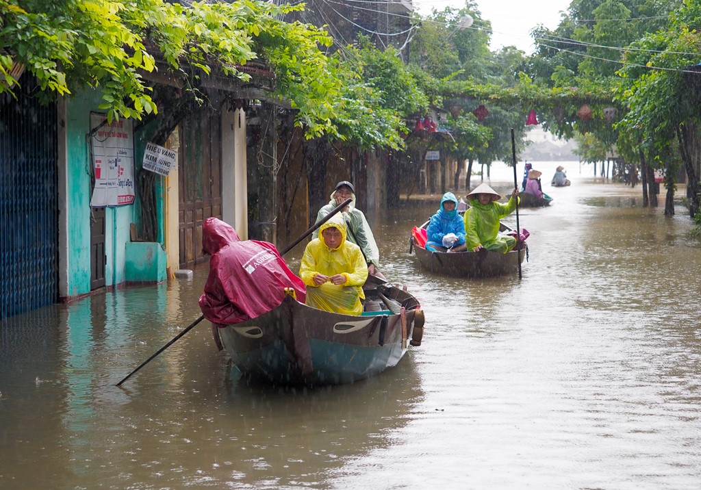 Hoi An chim trong bien nuoc hinh anh 11