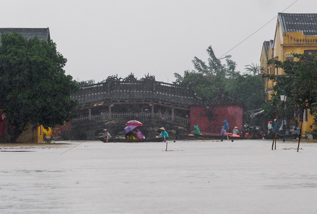 Hoi An chim trong bien nuoc hinh anh 2
