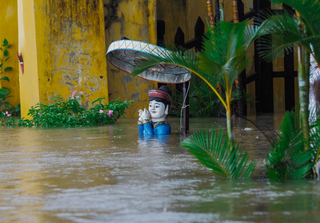 Hoi An chim trong bien nuoc hinh anh 3