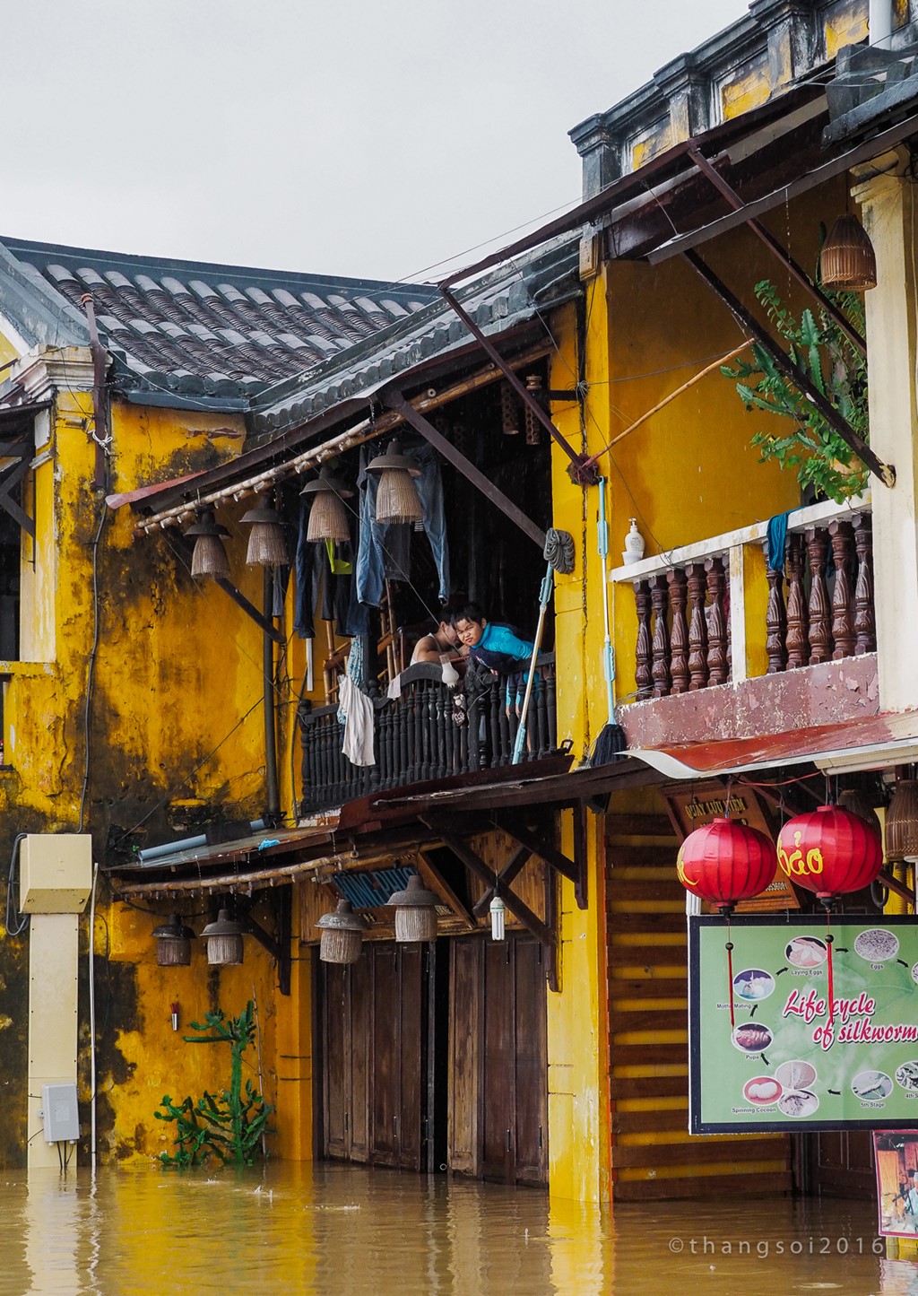 Hoi An chim trong bien nuoc hinh anh 5