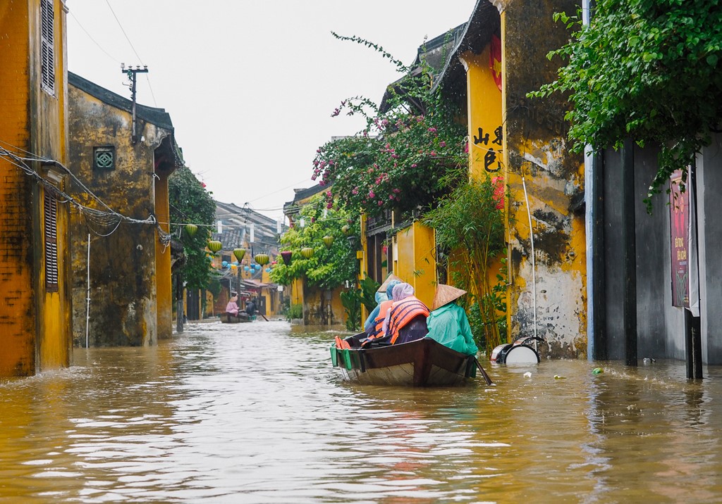 Hoi An chim trong bien nuoc hinh anh 9
